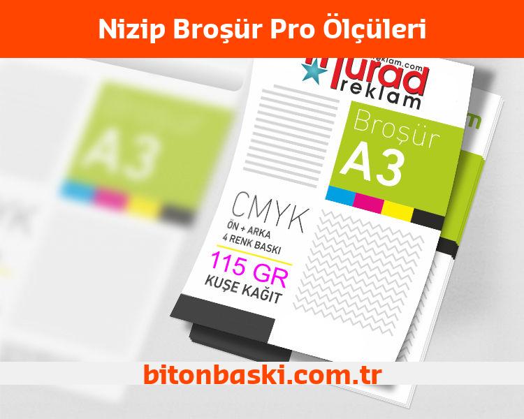Nizip Broşür Pro Ölçüleri