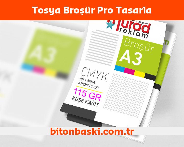 Tosya Broşür Pro Tasarla
