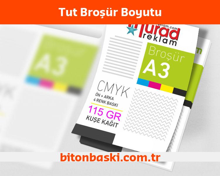 Tut Broşür Boyutu