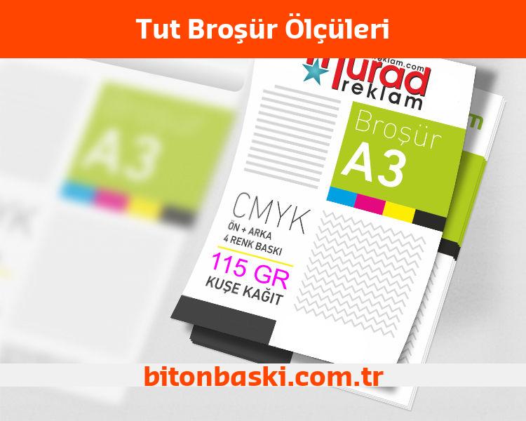 Tut Broşür Ölçüleri